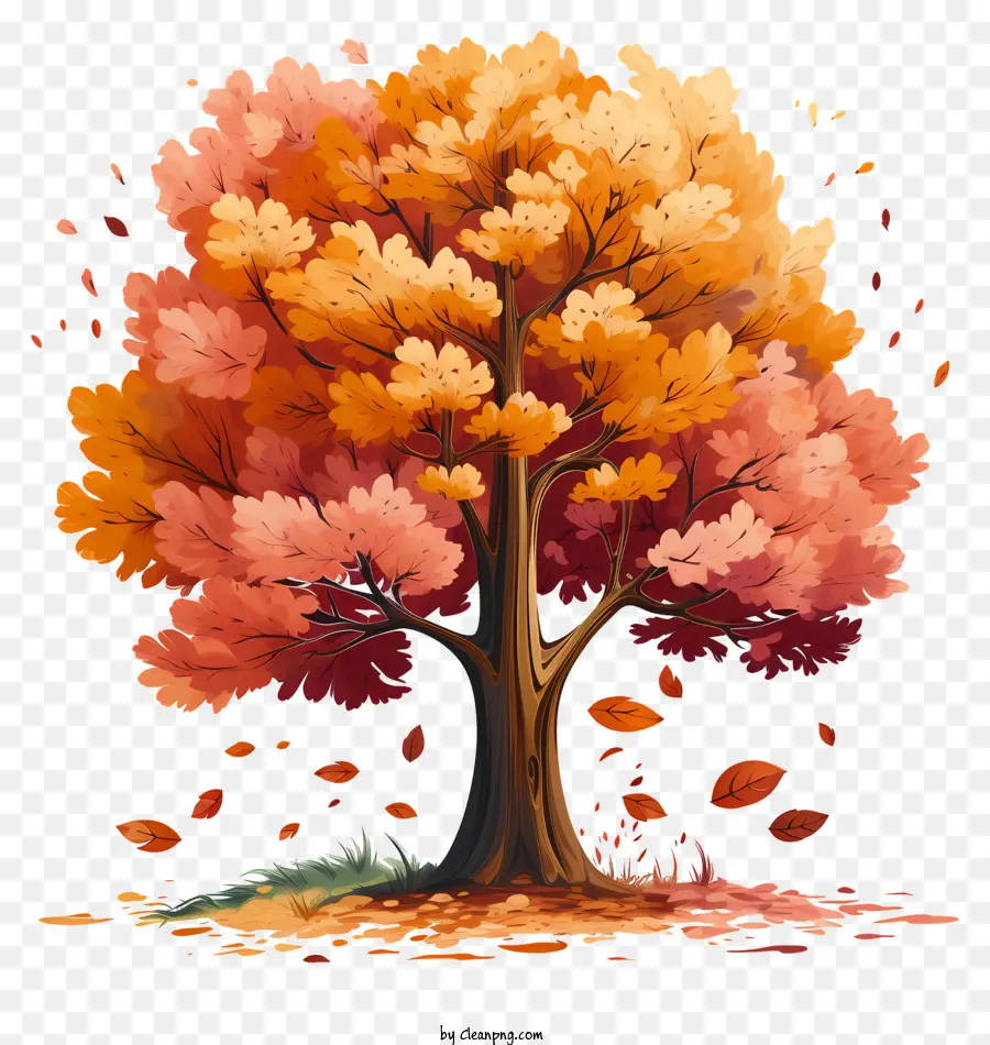 Automne Arbre，L'automne PNG