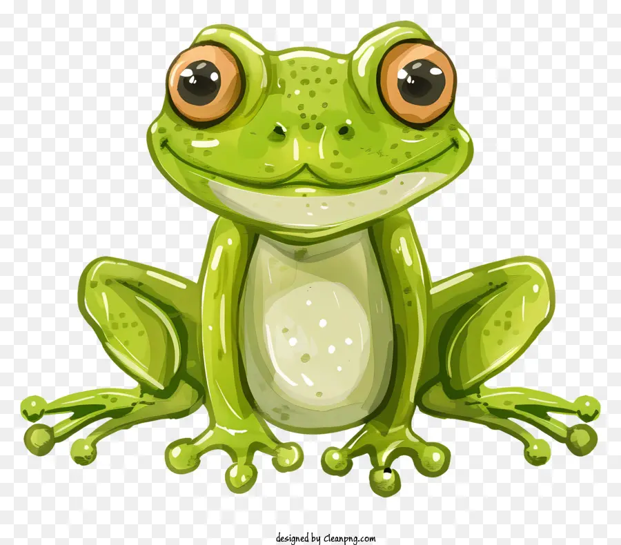 Grenouille De Dessin Animé，Grenouille PNG