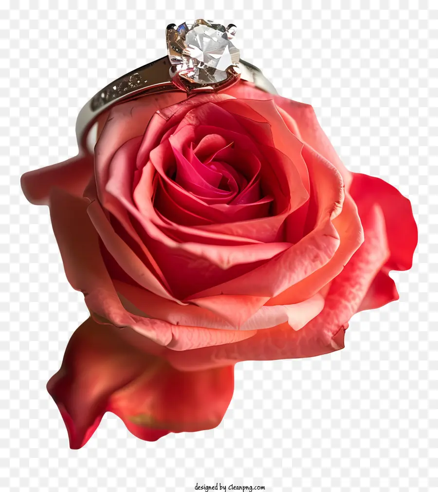 Journée De Proposition，Rose Avec Bague PNG