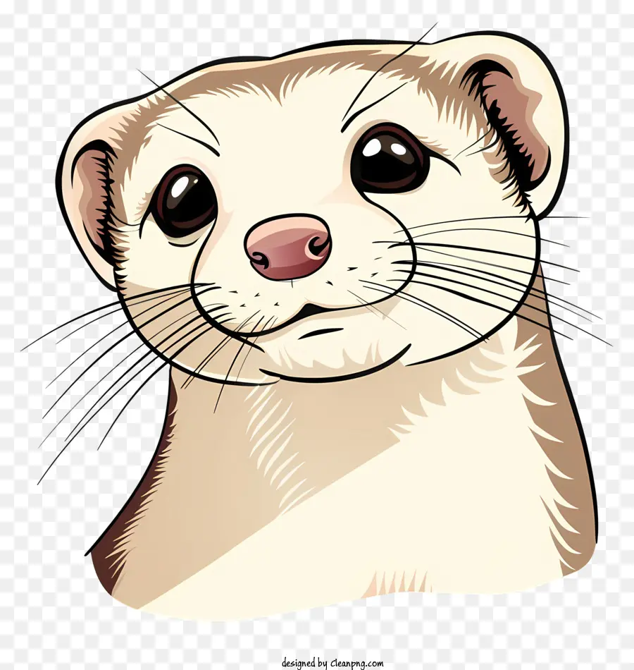 Journée Du Furet，Furet PNG