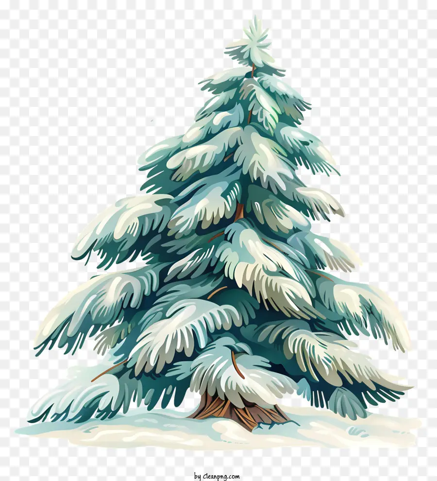 Sapin，Pin Neige PNG