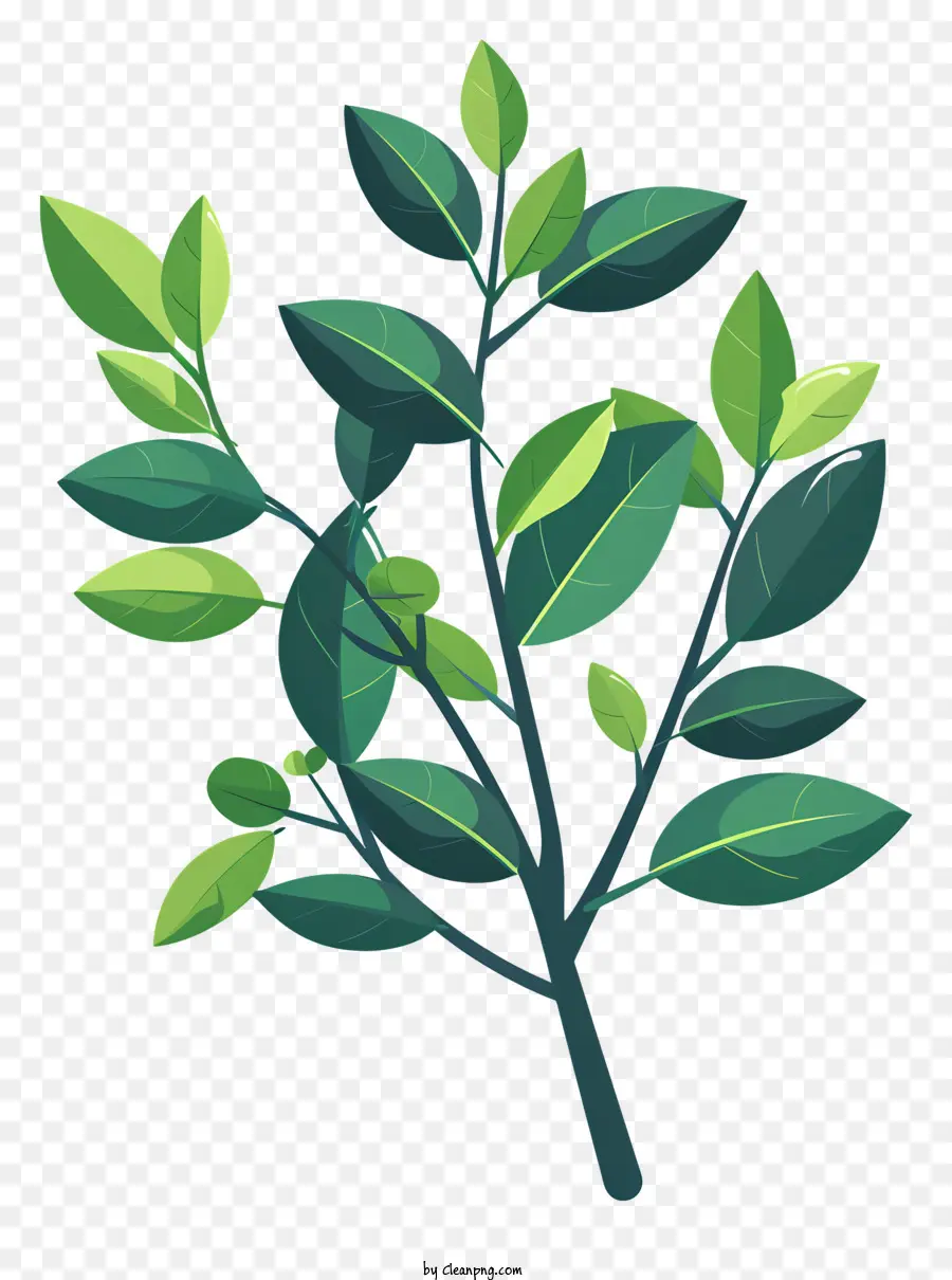 Grande Branche Verte，Feuilles Vertes PNG