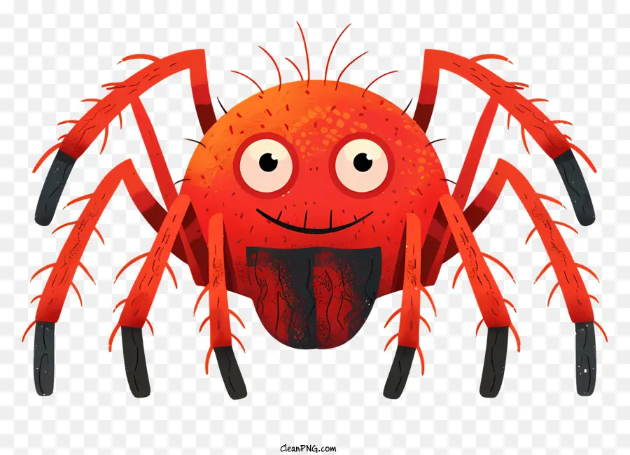 Dessin Animé Spider，Araignée PNG