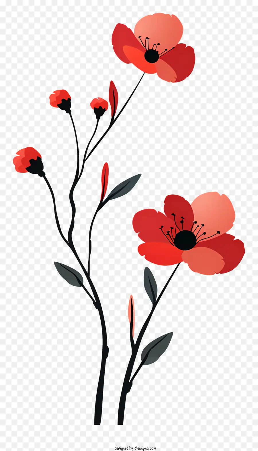 Fleurs Rouges，Coquelicot PNG