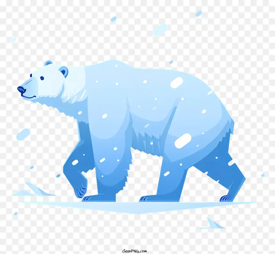 L'ours Polaire，Faune Arctique PNG