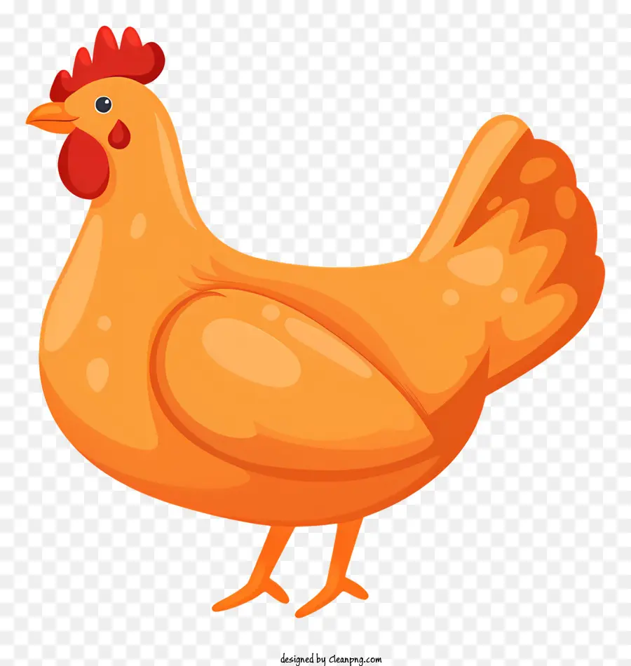 Poulet，Plumes Blanches PNG
