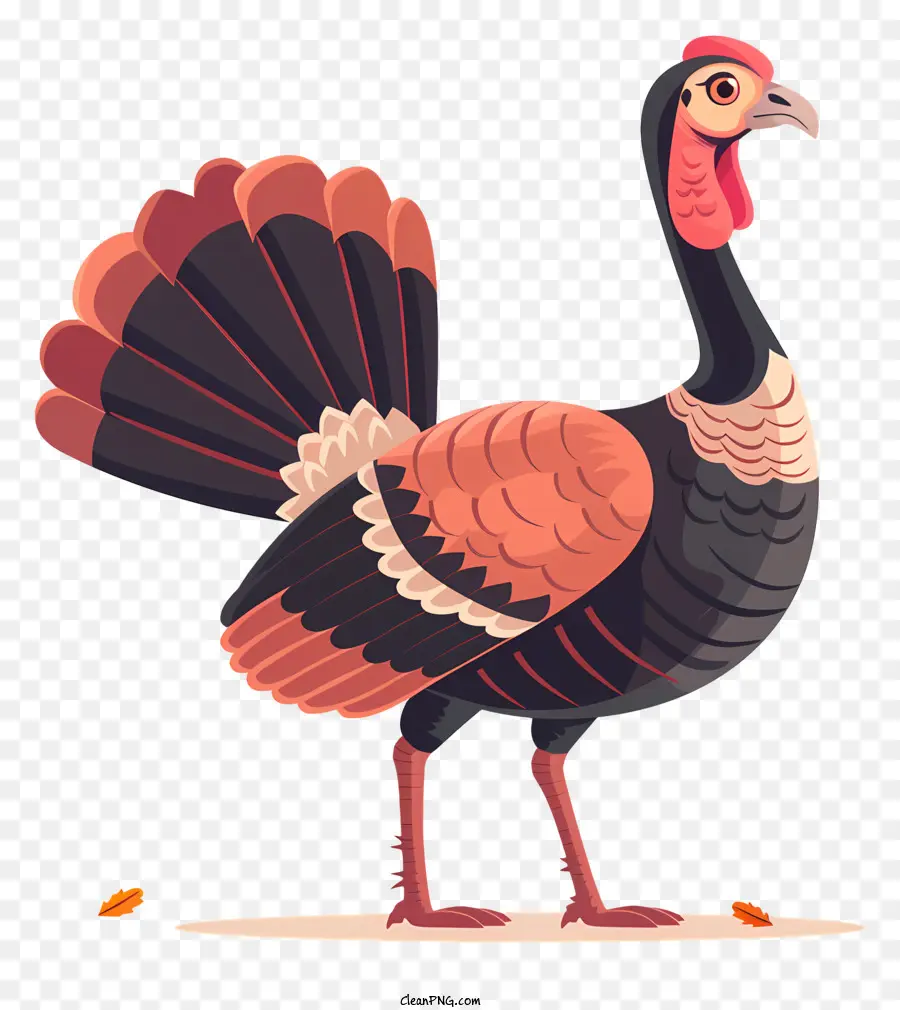 La Turquie，Oiseau Domestiqué PNG