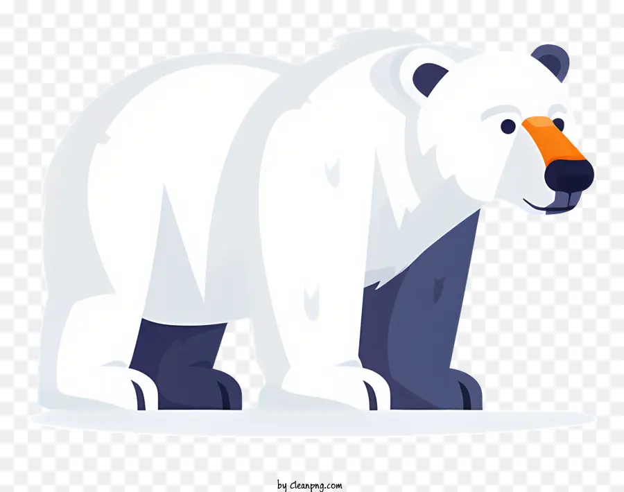L'ours Polaire，De L'arctique PNG