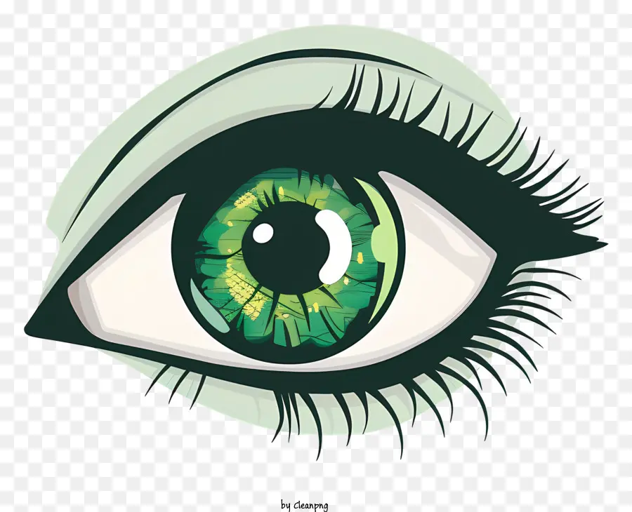 Oeil Vert，Œil PNG