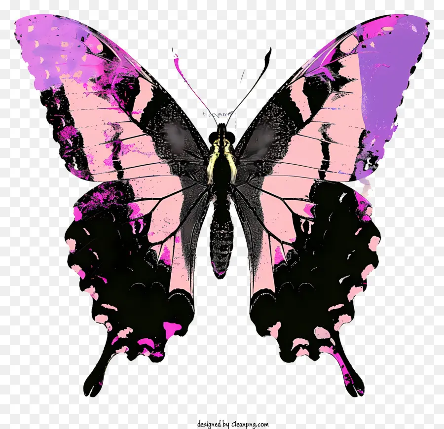 Papillon Silhouette，Papillon PNG