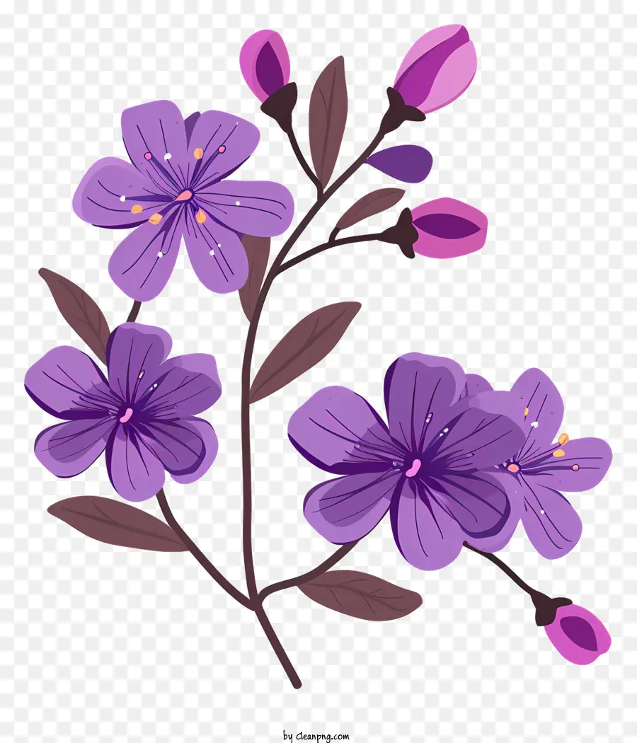 Fleurs Violettes En Fleurs，Fleur Pourpre PNG