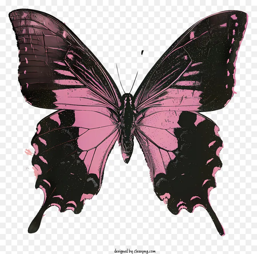 Silhouette De Papillon，Papillon Rose PNG