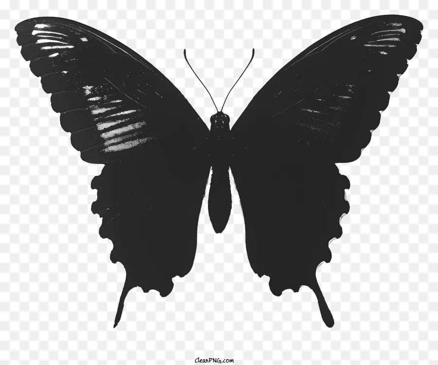Papillon Silhouette，Papillon Noir PNG