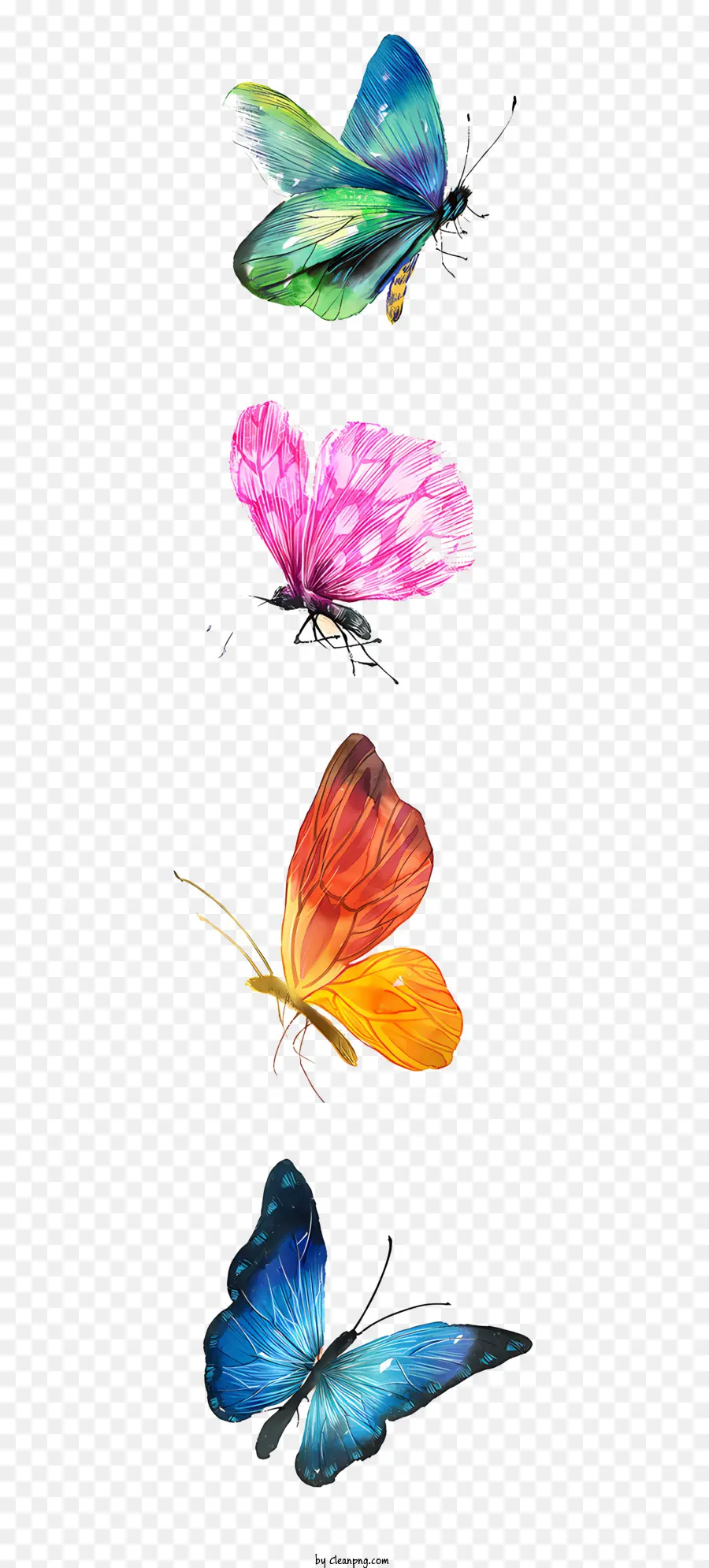 Papillon，Les Papillons PNG