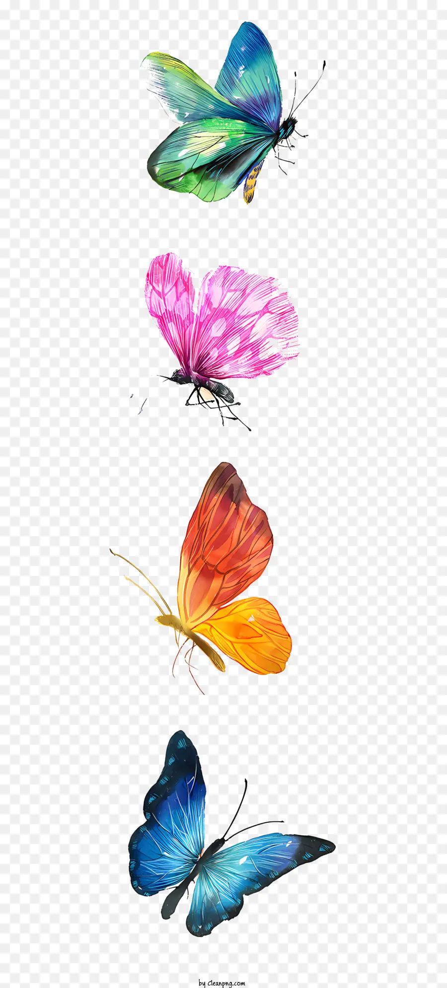 Papillon，Papillons PNG