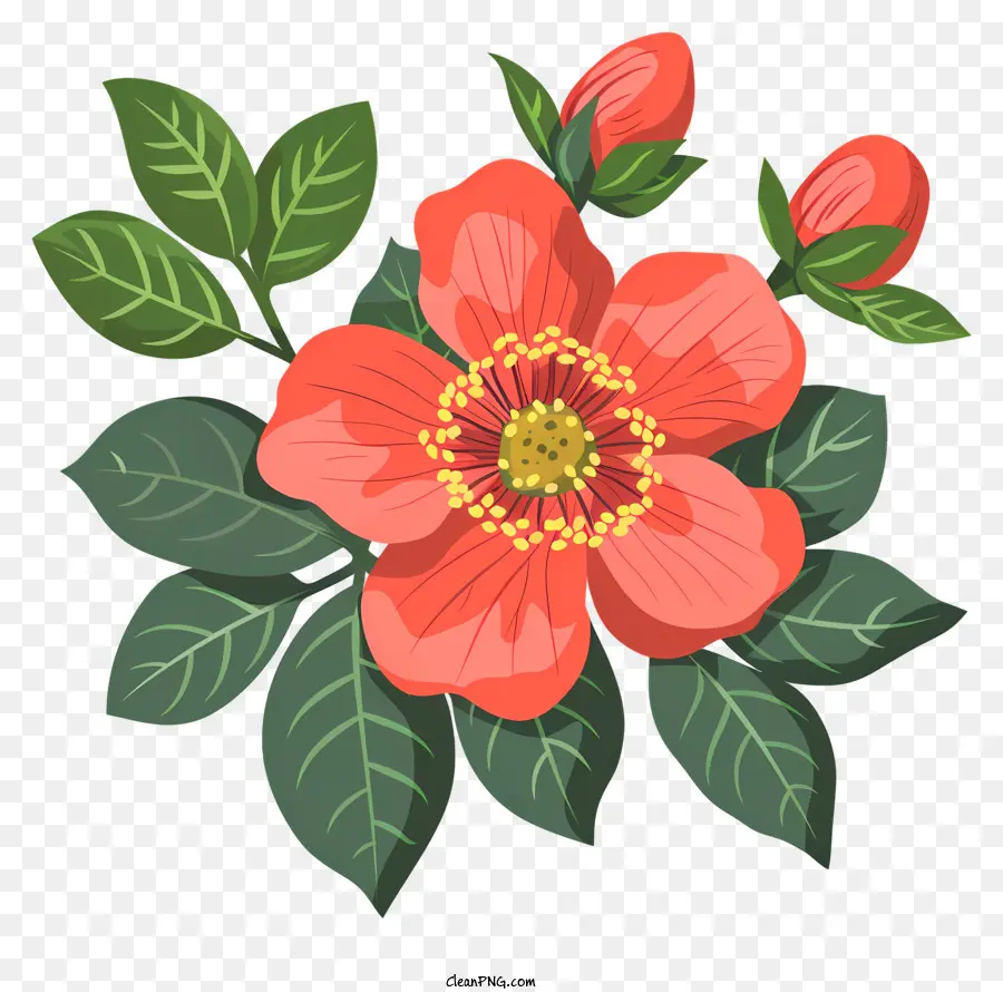 Fleur De Rosehip Fleuri，Rose Rouge PNG