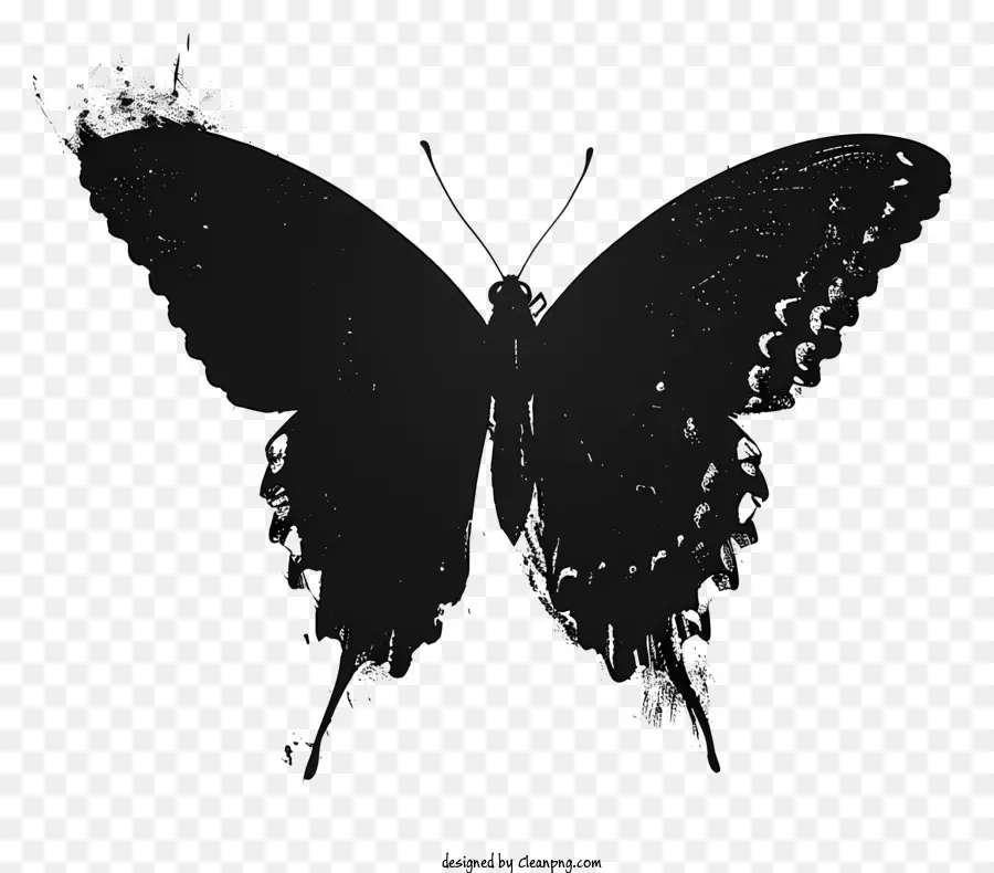 Papillon Silhouette，Papillon Noir PNG