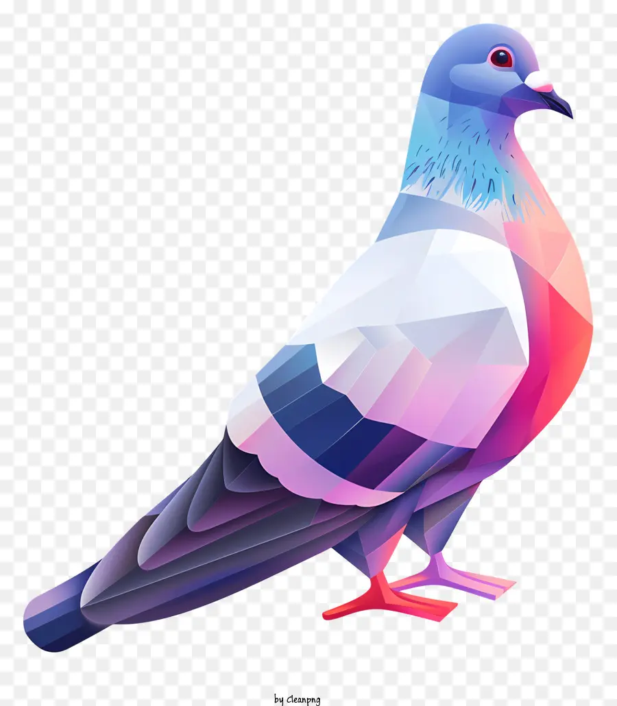 Pigeon，Numérique PNG