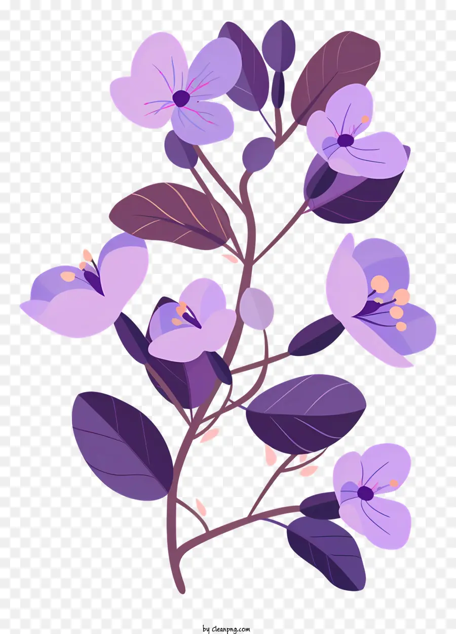 Branche De Fleurs Violettes，Fleurs Pourpres PNG