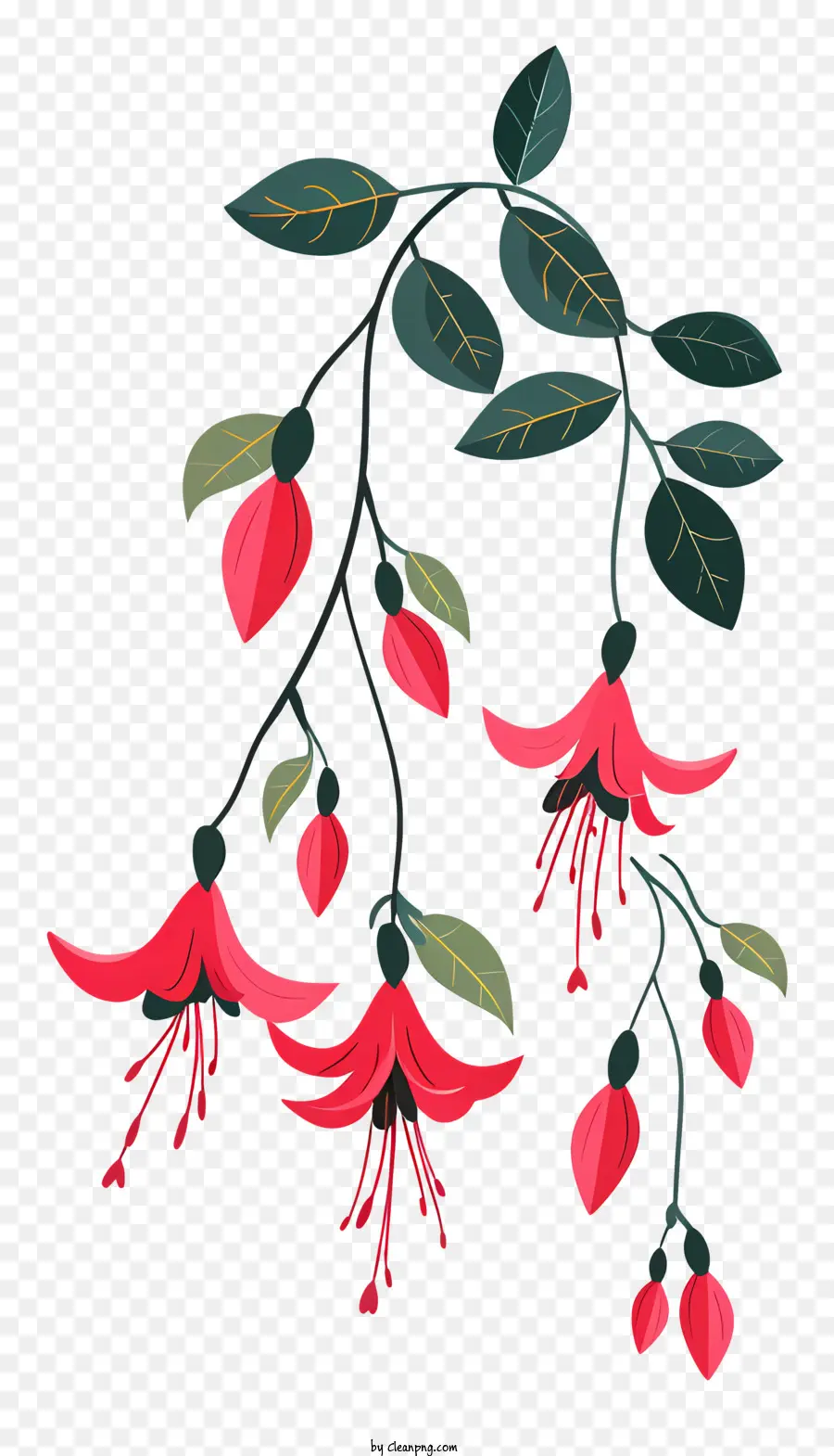 Branche Des Fleurs Fuchsia，Branche PNG