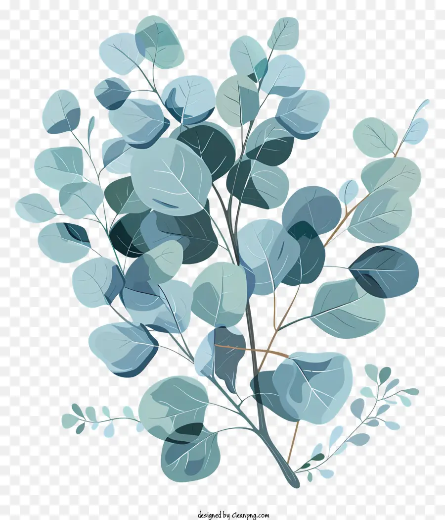 Feuilles D'eucalyptus，Usine PNG