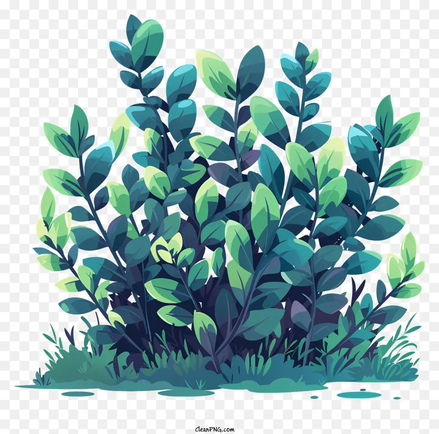 Arbuste，Grandes Plantes PNG