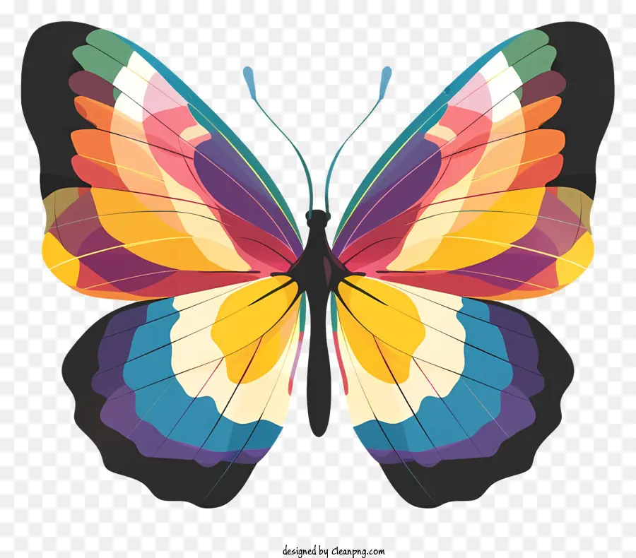 Papillon，Coloré PNG