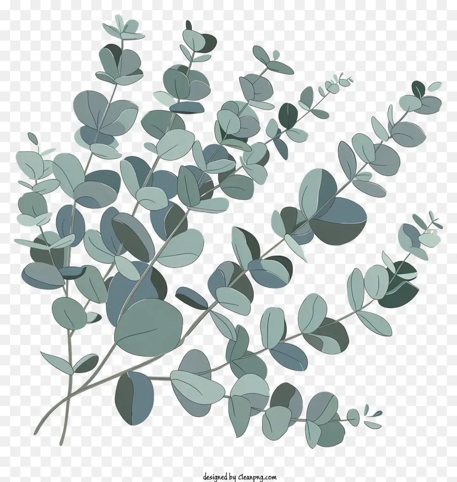 Brin D'eucalyptus，Eucalyptus PNG