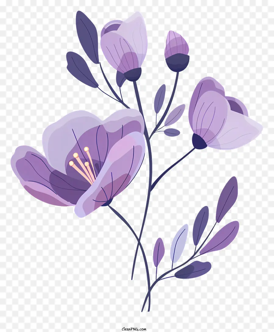 Brindille à Fleurs Violettes，Fleurs Pourpres PNG
