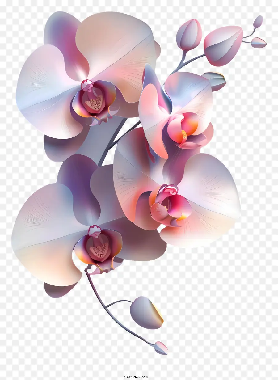Jour D'orchidée，Orchidée PNG