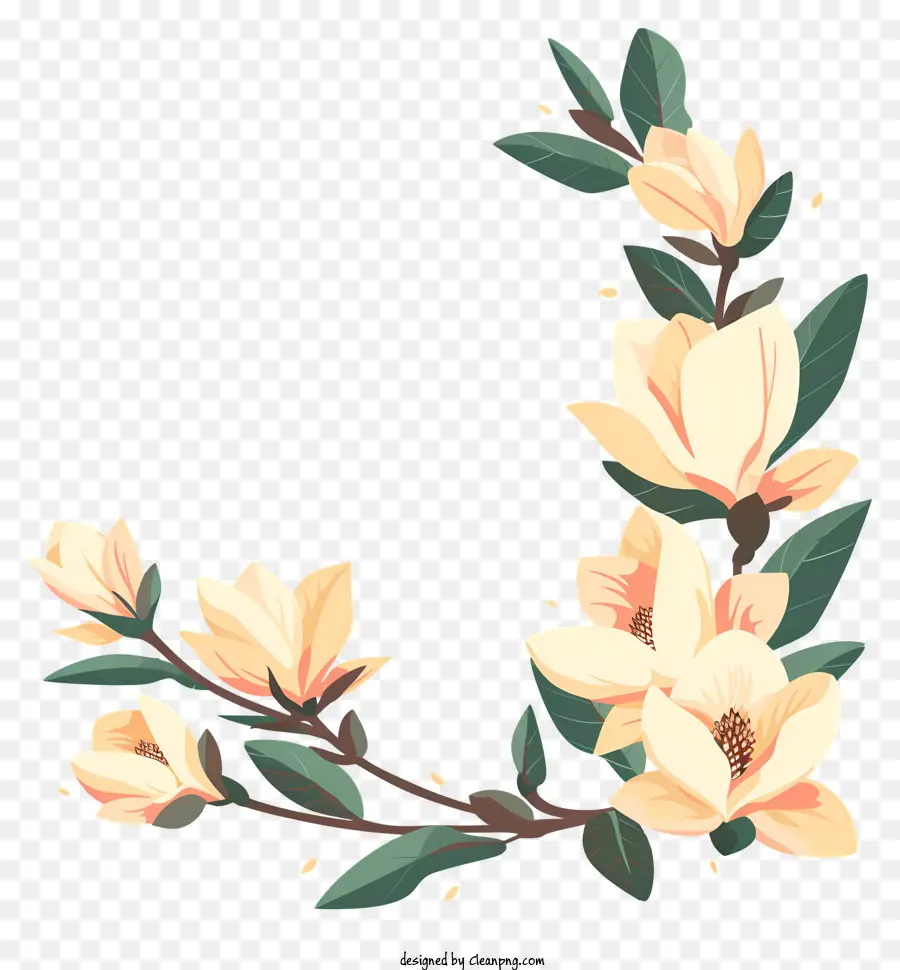 Coin De Fleurs De Magnolia，Magnolia PNG