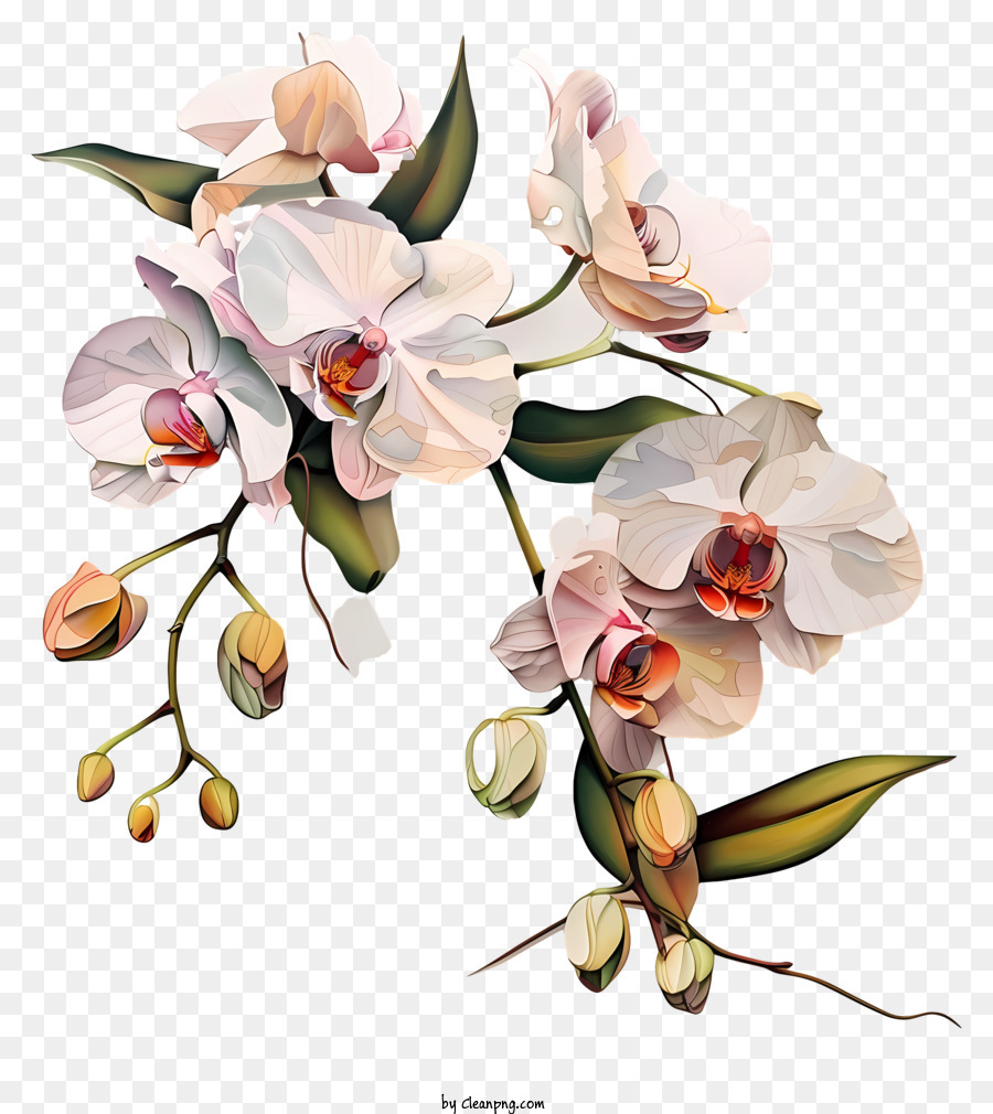 Jour Dorchidée, Orchidées Blanches, Fleurs PNG - Jour Dorchidée ...