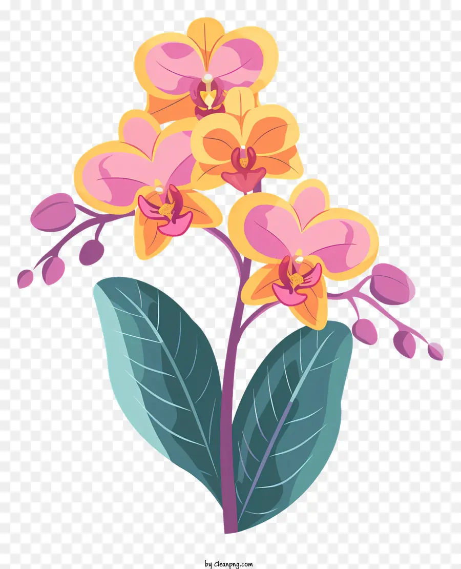 Jour D'orchidée，Fleur PNG