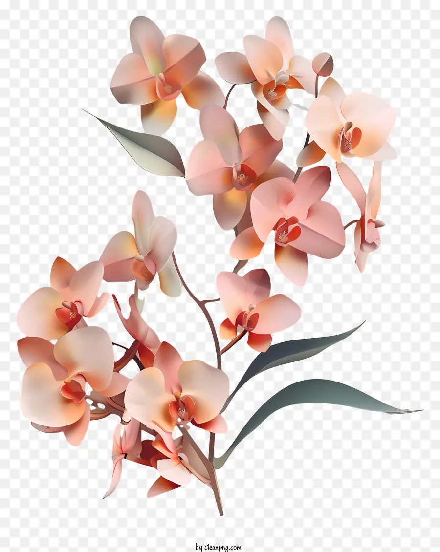 Jour D'orchidée，Illustration 3d PNG