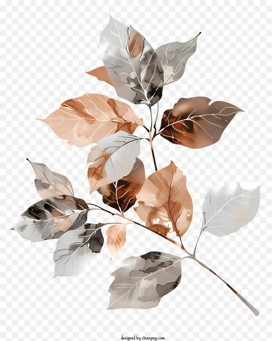 Feuilles D'automne，Bifurquer PNG