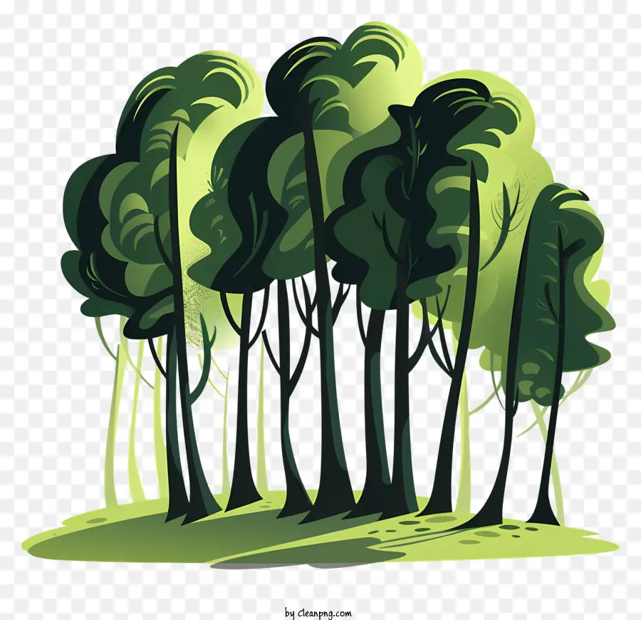 Les Arbres De La Forêt，Le Vert De La Forêt PNG