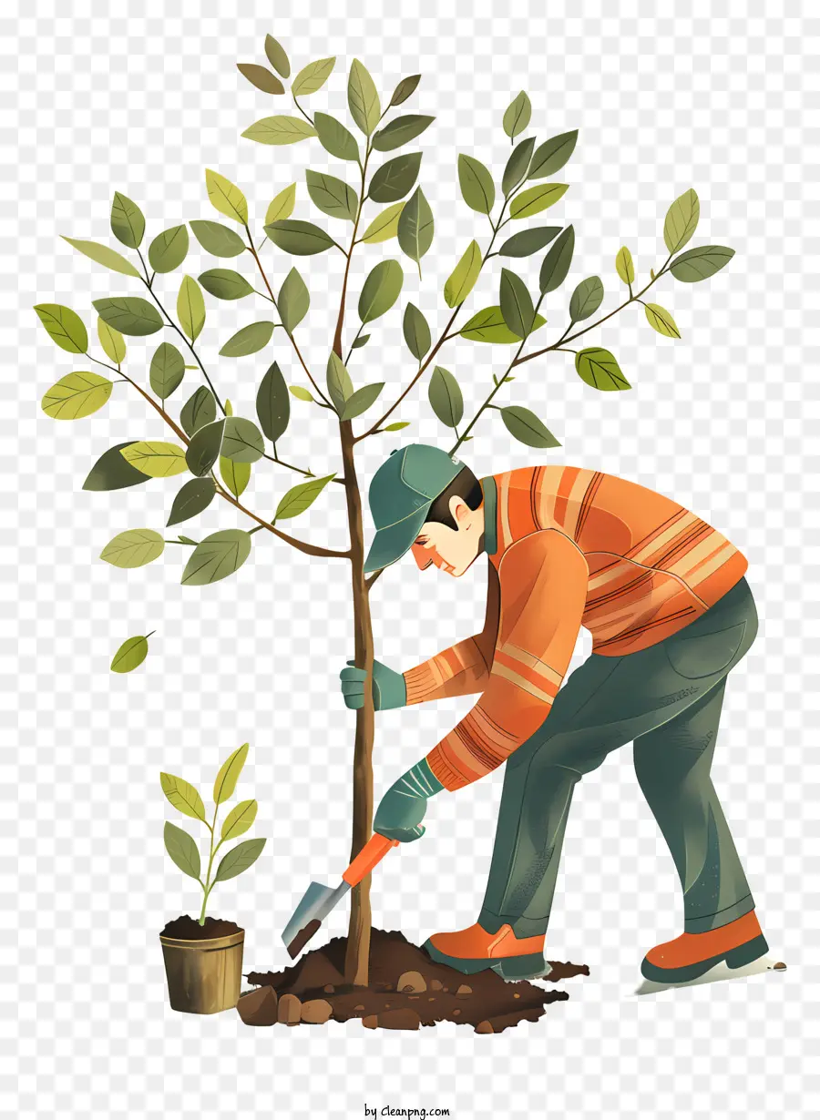 La Journée De L'arbre，La Plantation D'arbres PNG