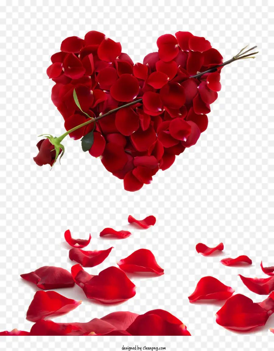 Coeur，Les Roses Rouges PNG
