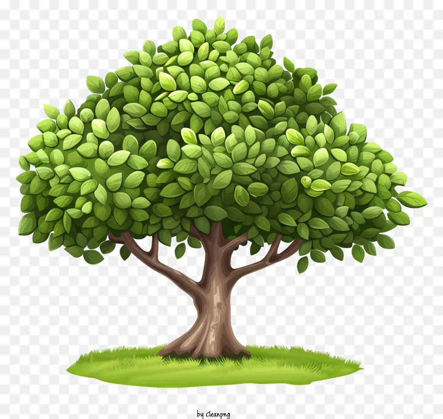 La Journée De L'arbre，Les Branches Des Arbres PNG