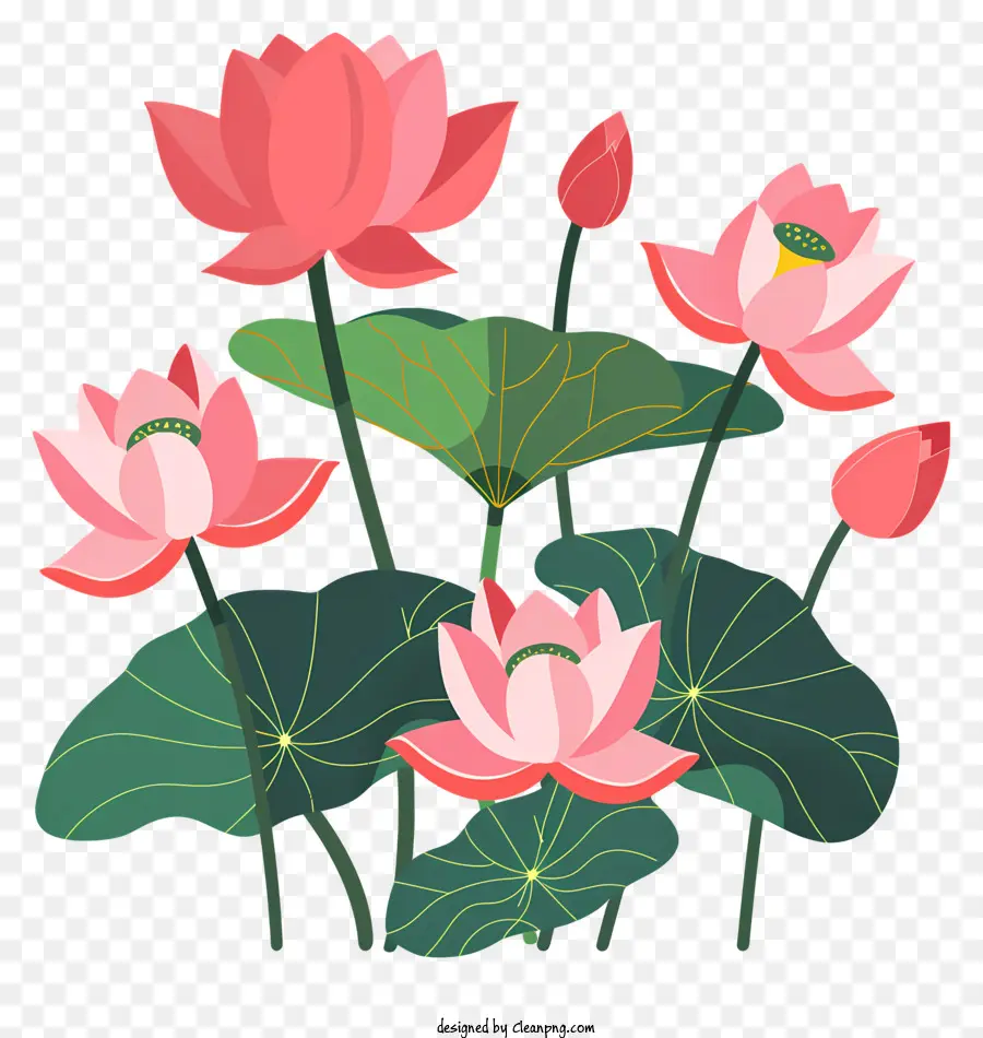 Fleurs De Lotus，Eau PNG