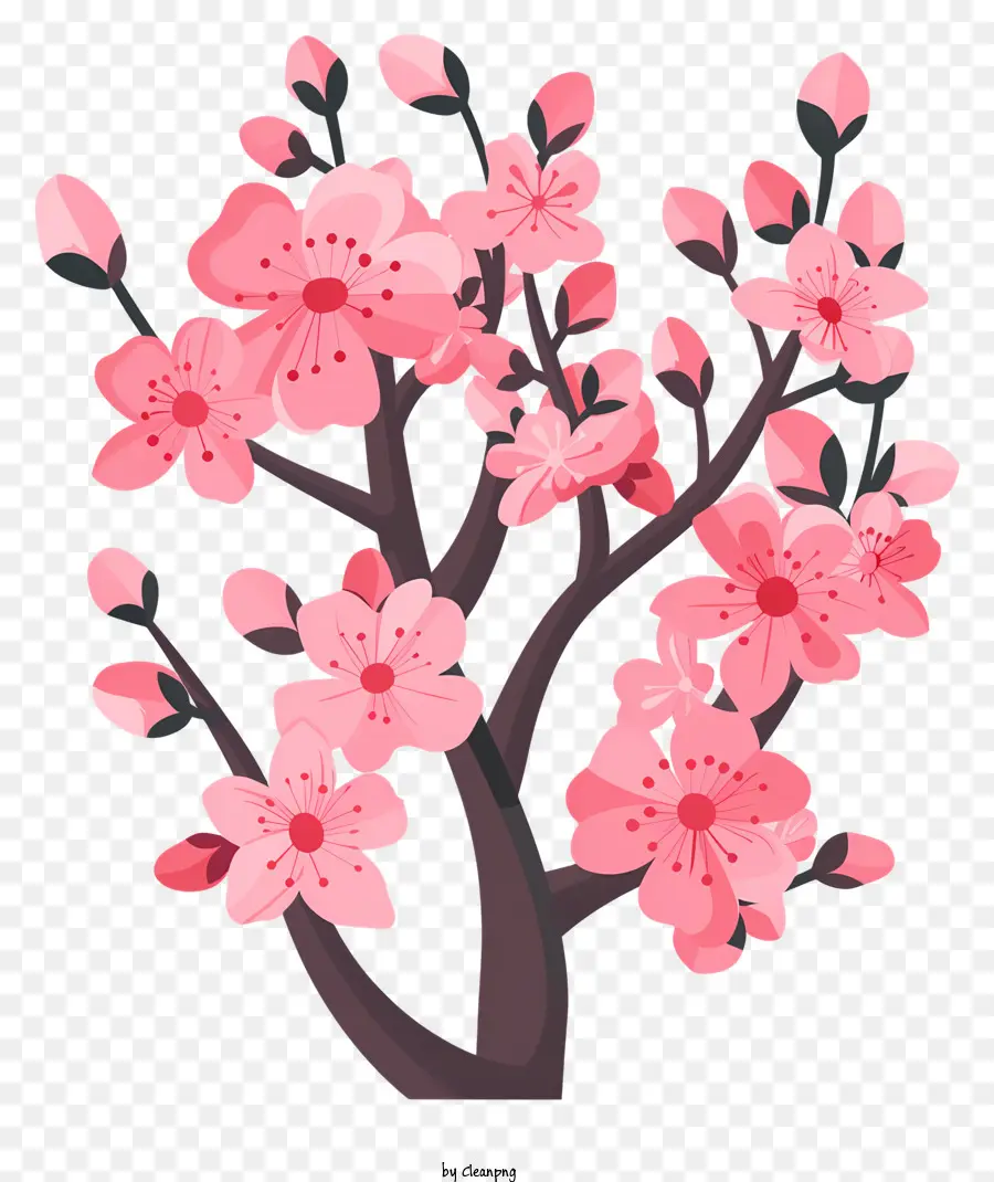 Fleur De Cerisier，Sakura PNG
