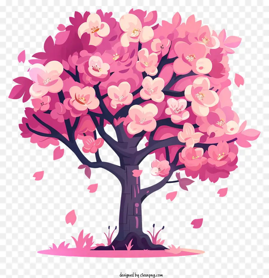 Fleur De Cerisier，Rose Arbre PNG