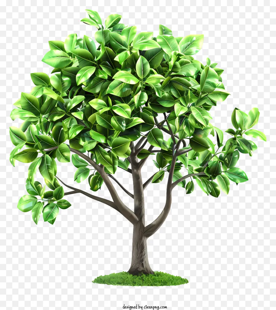 La Journée De L'arbre，Arbre Vert PNG