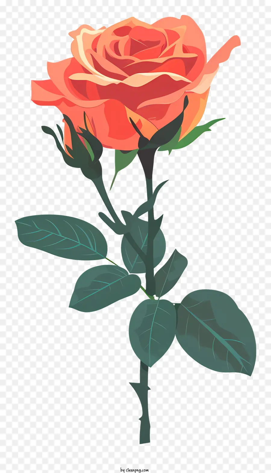 Rose，Rose Rouge PNG