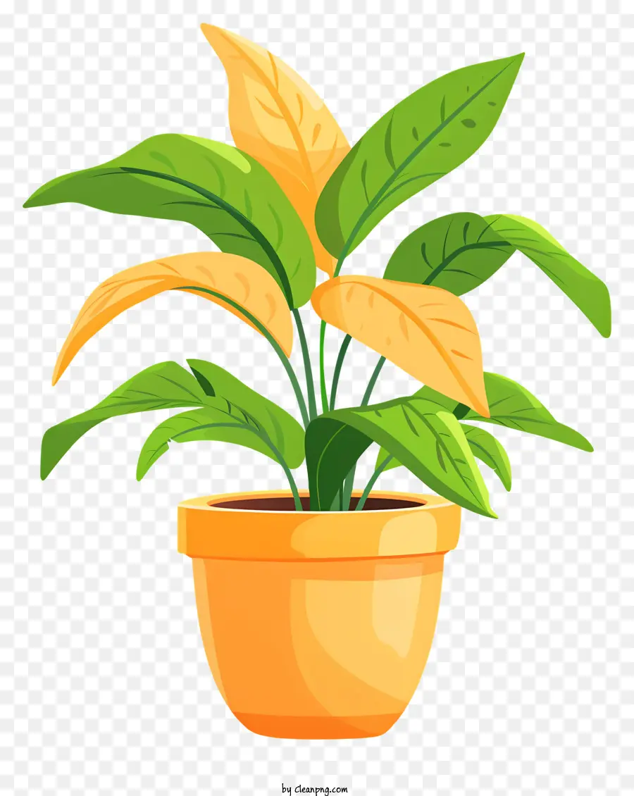 Flowerpot，Plante Succulente PNG