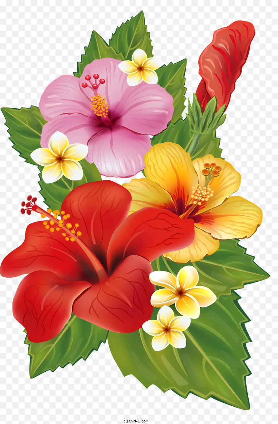 Fleurs，Fleur PNG