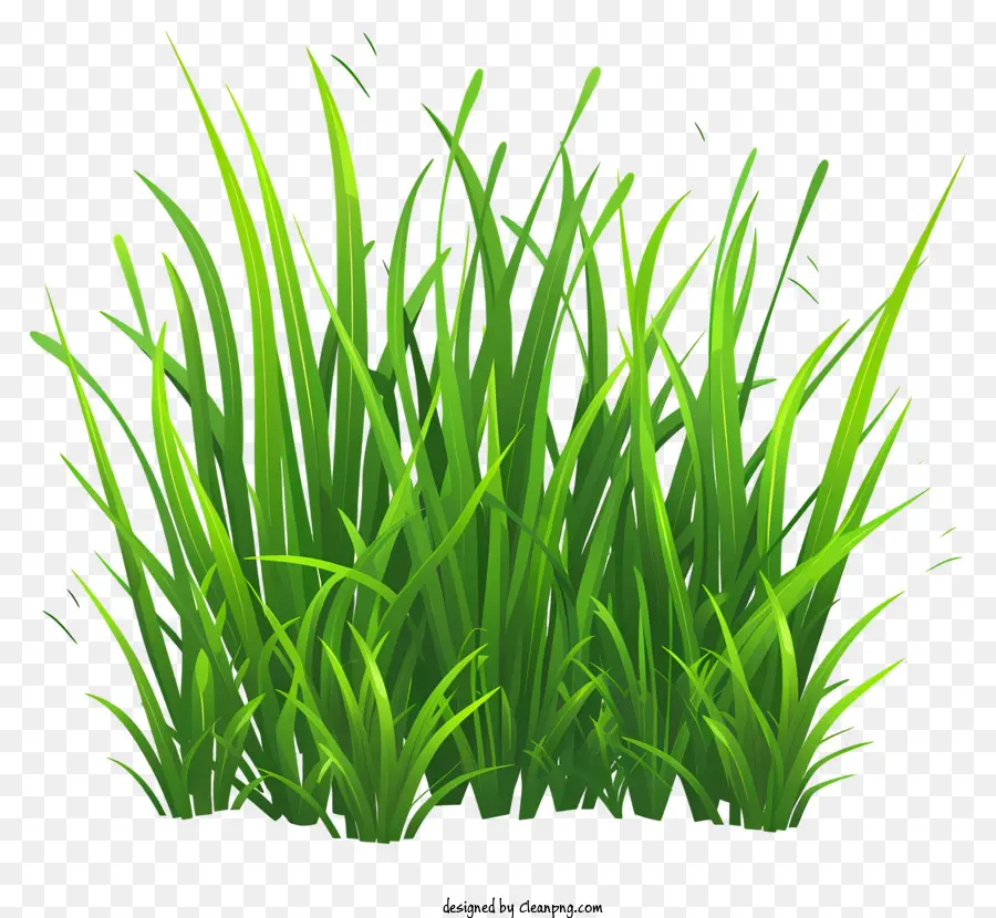 L'herbe Printanière，L'herbe Haute PNG