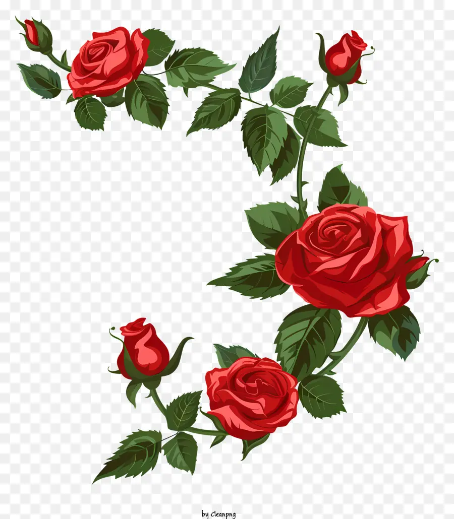 Rose Rouge Coin，Les Roses Rouges PNG