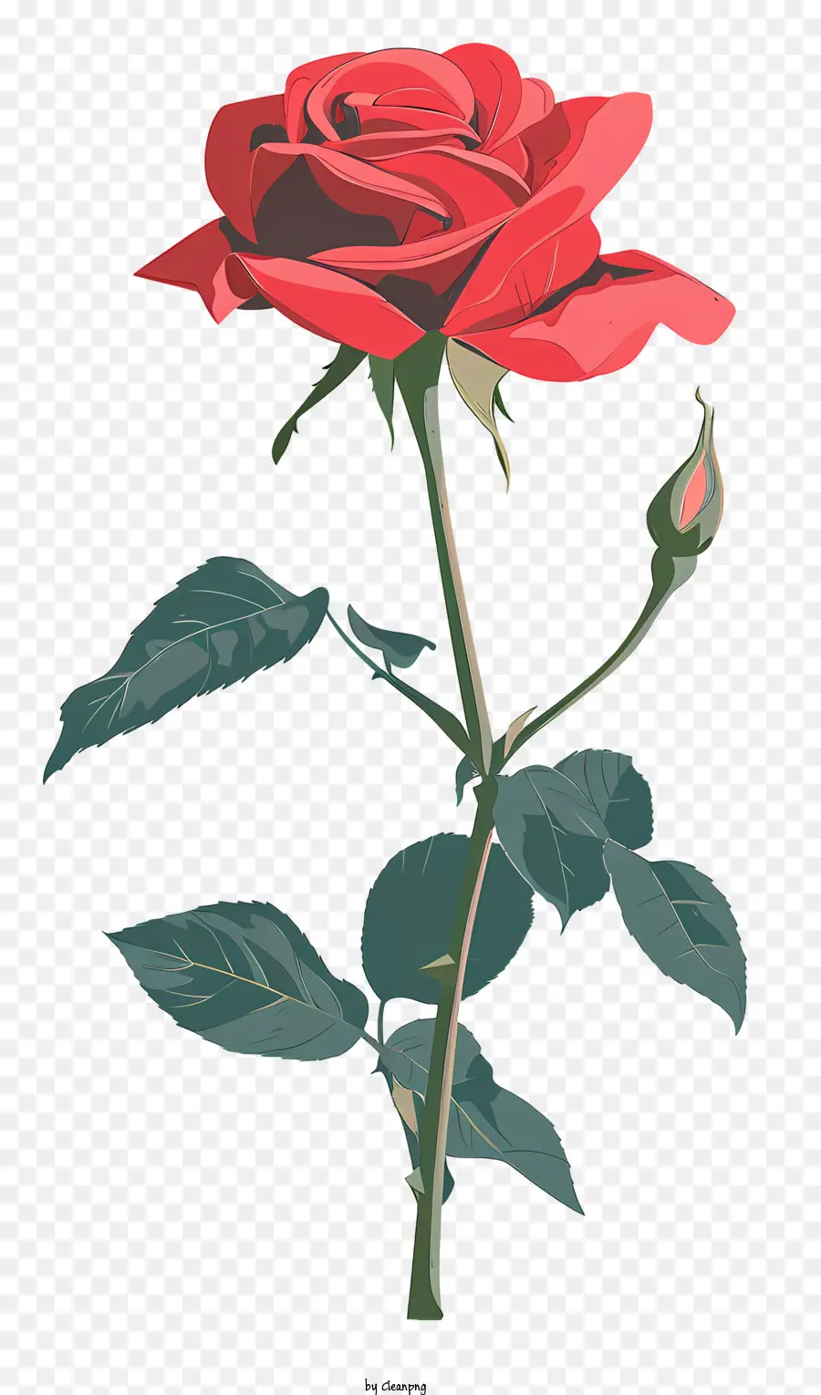 Rose Rouge，Fleur PNG
