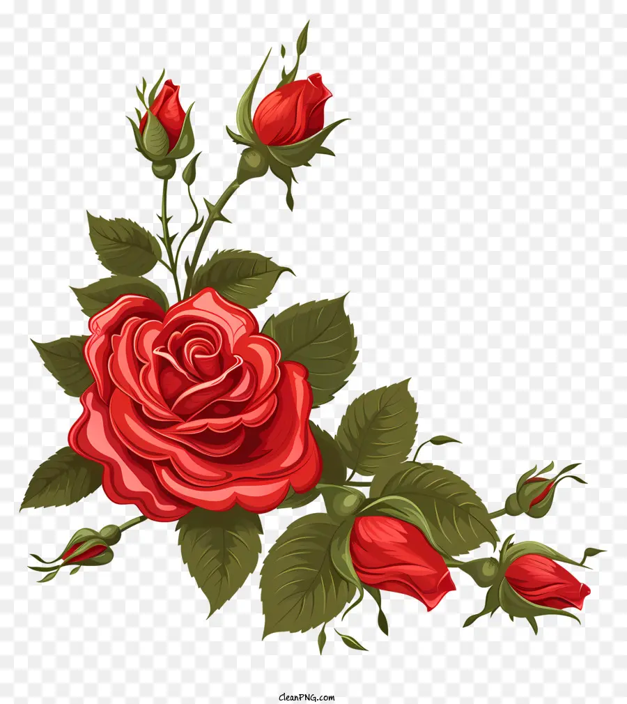 Rose Rouge Coin，Les Roses Rouges PNG